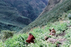 1968Peru-11