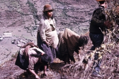 1972Peru-98