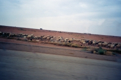 2003cIraq-45