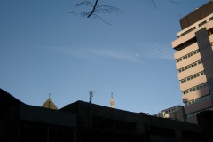 2005cEgypt-72