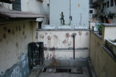 2005cEgypt-74