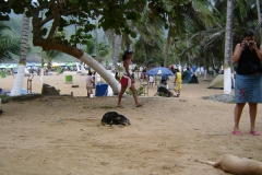 2006cVenezuela-21
