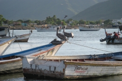 2006cVenezuela-40