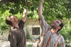 2008bJordanSyriaLeb-25