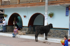 2013cEcuador-109