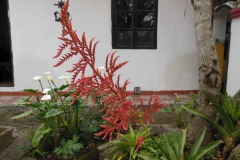 2013cEcuador-28
